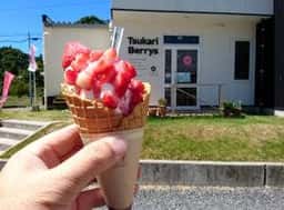 TsukariBerrys