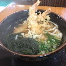うどんあおやま国府店