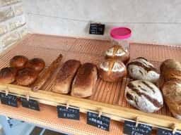 bekary pomme de jardin