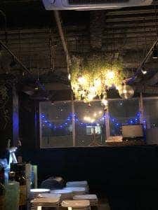 シュガーガーデン Sugar Garden