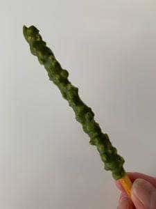 バトンドール 阪急 うめだ本店 Baton dor