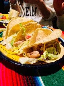 タコス エル ノパル