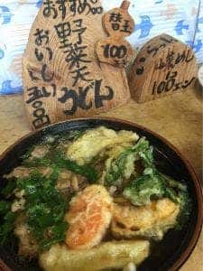 ひなたうどん