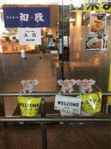 とんかつ 和豚