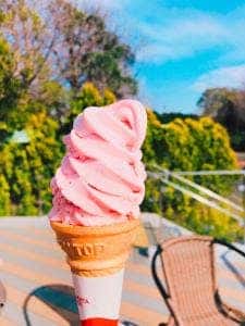 フラワーセンター 大船レストハウスペオニア