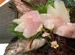 越中の台所 きのか