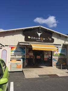 それいゆふぁ〜む