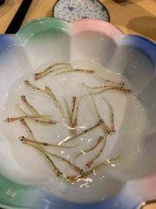 おすしやさん