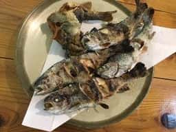 金剛山麓 千早川