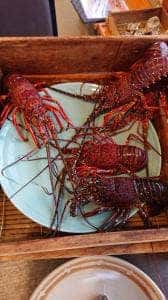 伊勢海老 海鮮蒸し料理 華月