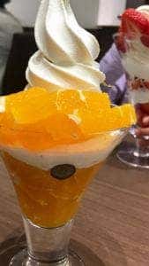 フルーツショップ ホソカワ 京都高島屋店