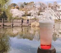 マクドナルド 白楽駅前店