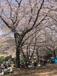とりサブロー 越谷蒲生店