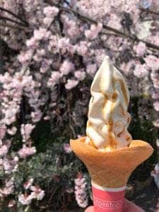 タケサン記念館 一徳庵