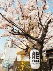 SAKAINOMA cafe