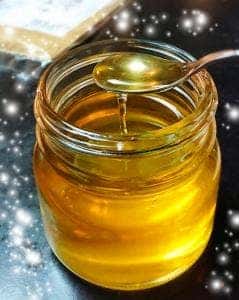 屋久島観光センター