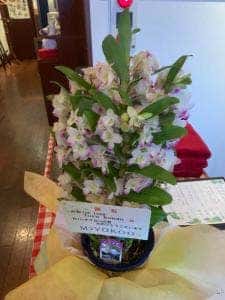 ビストロ ラシェット