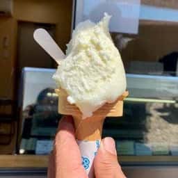 加藤牧場 彩の国ふれあい牧場店