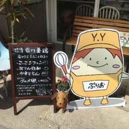 吉川養鶏 COCCOPURIO