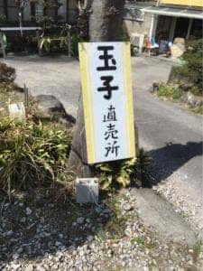 吉川養鶏 COCCOPURIO