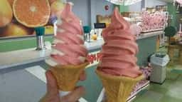 蒲郡オレンジパーク