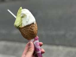 魁ジェラート
