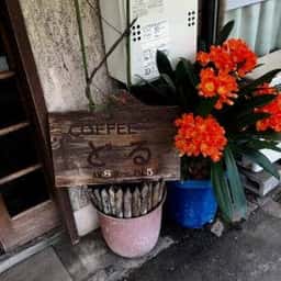 どる
