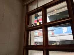 リュリュ 苦楽園