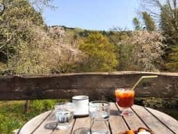 CAFE YUBA