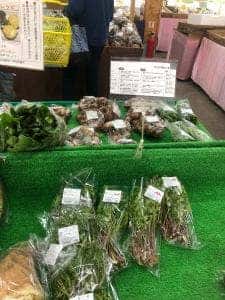 道の駅宇目 宇目茶屋