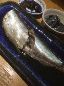 まぐろ料理専門店 まぐろ屋