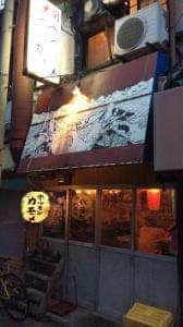 ホルモン カモメ