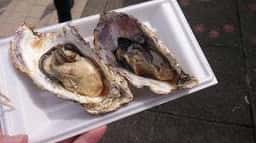 山陽自動車道・宮島サービスエリア下り