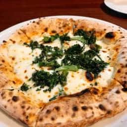 PIZZERIA 222
