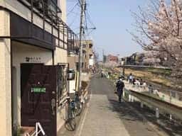 キノコヤ