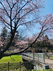 亀田記念公園 ジンギスカン コーナー