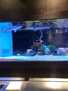 鉄板DINING 集 栄店