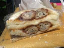 立山サンダーバード