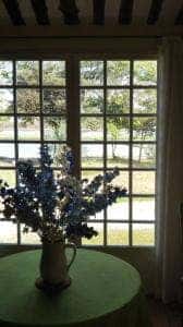 ルール・ブルー～イケダヤ