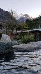 谷旅館 食事処