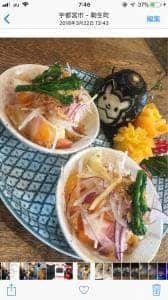 象の家