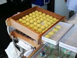 小池菓子舗 飯森山店