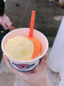 ブルーシール アイスクリーム 福生店BigDip