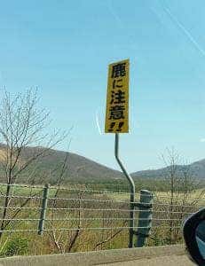 とかち平原 マルシェ 道東道十勝平原SA