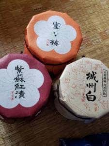 おうすの里 祇園本店