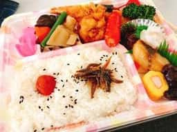 魚光