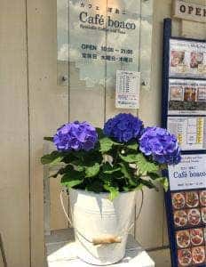 カフェ ぼあこ