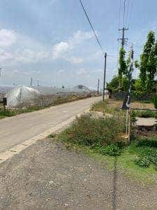 釜めし ちねり