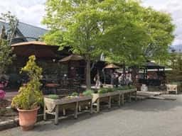 キースプリング