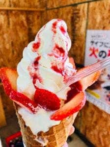 溝口農場